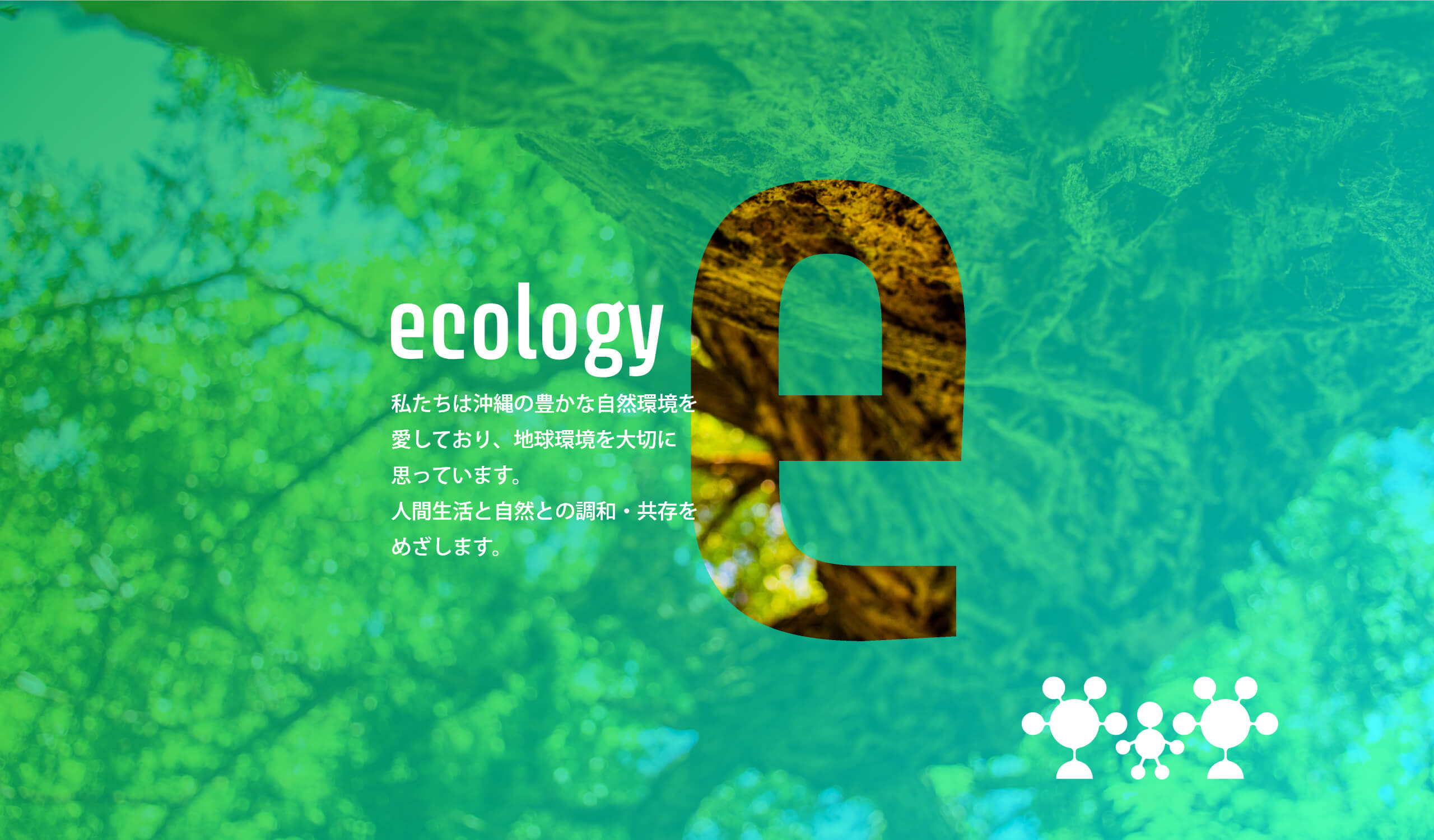 ecology